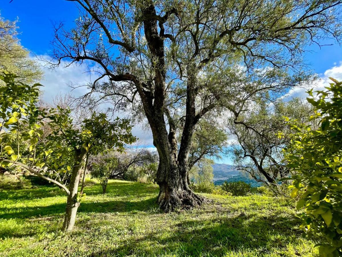 La Esperanza Granada Luxury Hacienda & Private Villa Saleres Екстер'єр фото